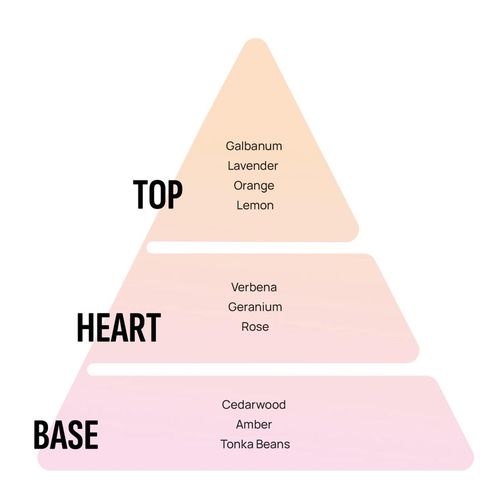 купить Ароматизатор воздуха Areon Home Parfume Sticks X Version 85ml (Anti Tobaco) в Кишинёве 