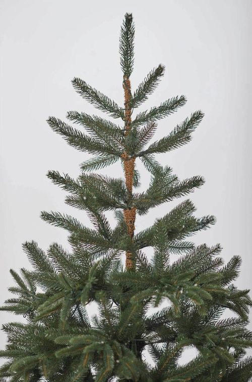 купить Декоративная ёлка Divi Trees Nordman Green 2,4m в Кишинёве 