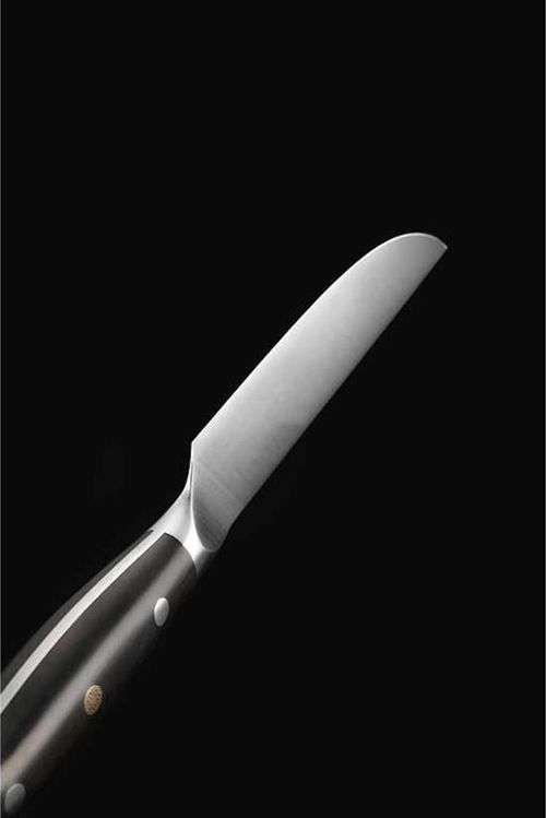купить Нож Takumi Seikō Steak Knife (TK-B13S-NP) в Кишинёве 