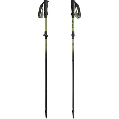 cumpără Bețe pentru trekking Spokey Terra, палки для скандинавской ходьбы (944825) în Chișinău 