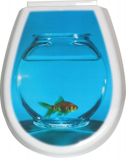 cumpără Capac WC Bisk 80378 LILIA (foto: Peste) în Chișinău 