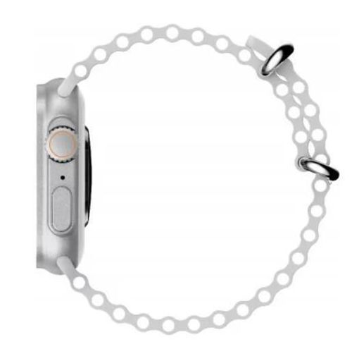 купить Фитнес-трекер Max Com Ecowatch 2, Silver в Кишинёве 