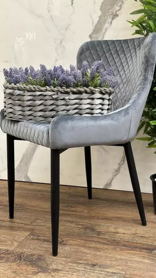 cumpără Scaun Signal Colin B velvet în Chișinău 