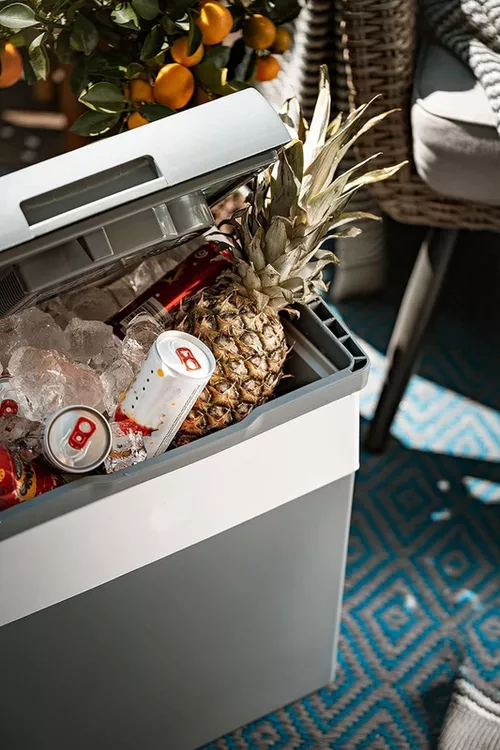 купить Холодильник портативный Adler AD 8078 в Кишинёве 