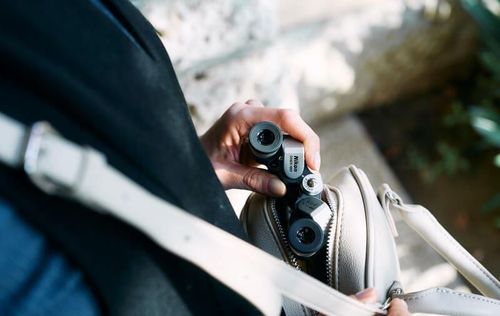 купить Бинокль Nikon 6x15M CF Silver в Кишинёве 