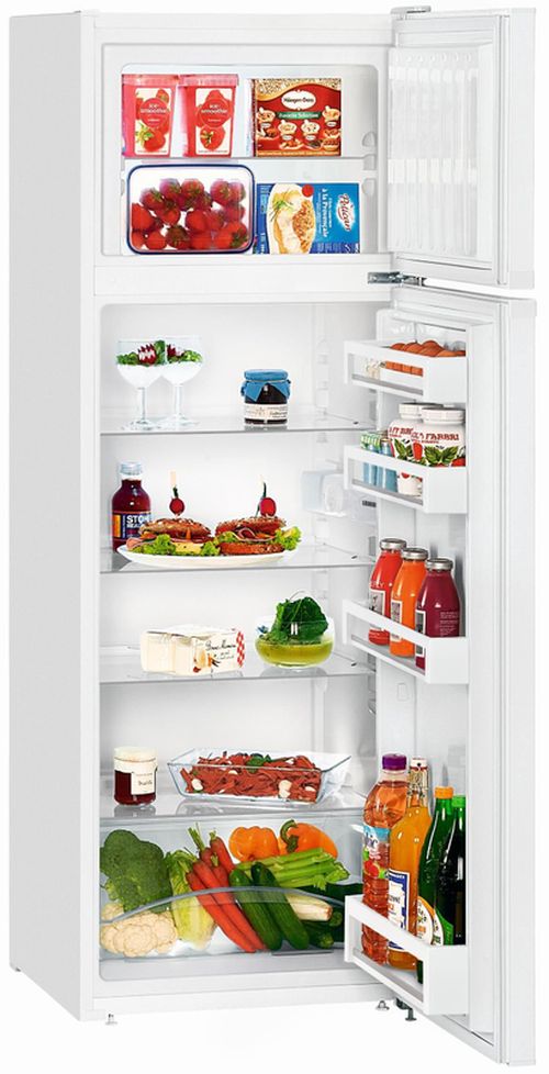 купить Холодильник с верхней морозильной камерой Liebherr CT 2931 в Кишинёве 