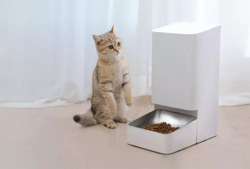 купить Миска для собак и кошек Xiaomi Smart Pet Food Feeder в Кишинёве 