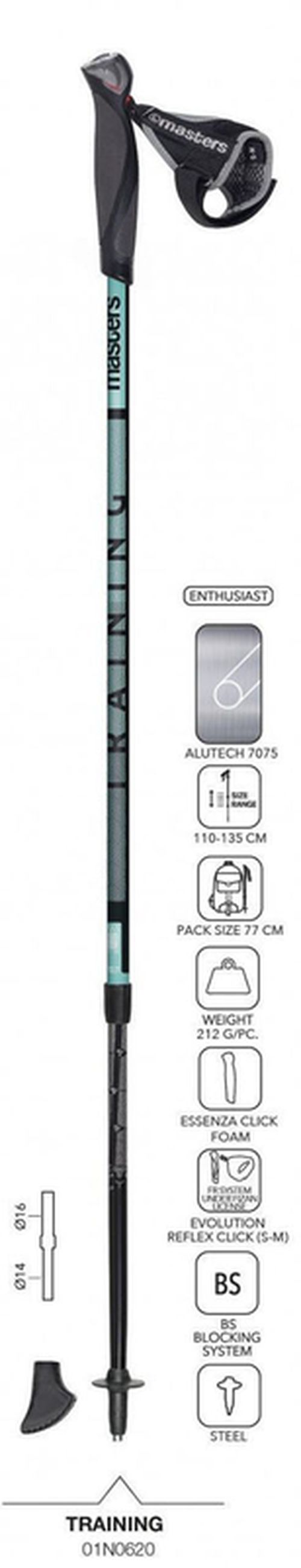 купить Треккинговые палки Masters NW TRAINING (01N0619/01N0620) в Кишинёве 