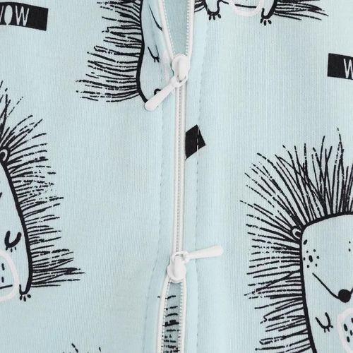 купить Детская одежда Minikin 242310356-62 Hedgehog Кокон голубой с рисунком 0-3мес (56-62см) в Кишинёве 