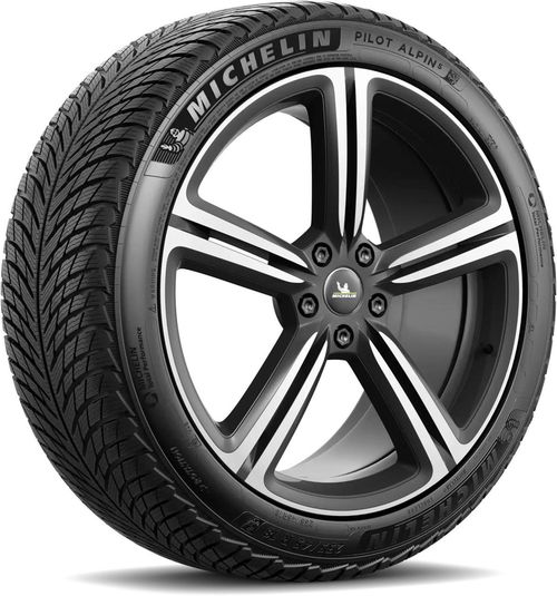 купить Шина Michelin 245/35 R20 Pilot Alpin-5 95V в Кишинёве 