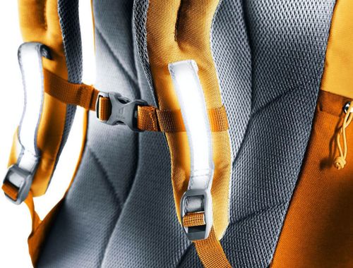 cumpără Rucsac pentru copii Deuter Waldfuchs 14 amber-maple în Chișinău 