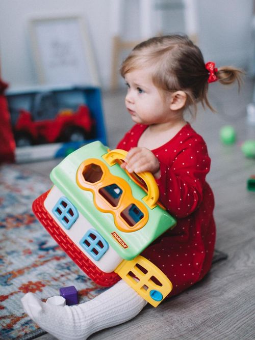 cumpără Puzzle Полесье 48745 Jucarie casuta cu logica în Chișinău 