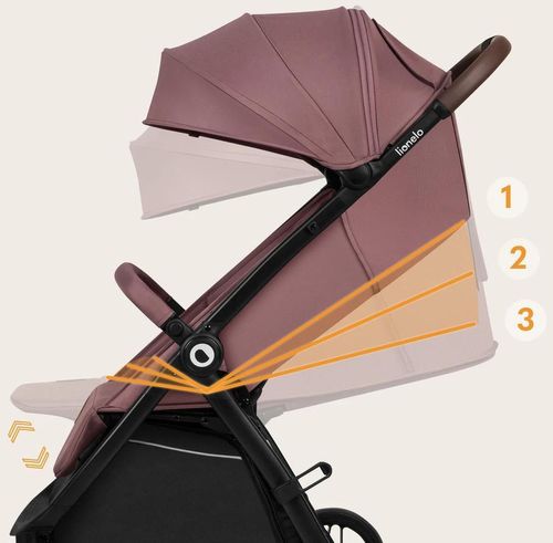 купить Детская коляска Lionelo Ingrid Pink Mauve в Кишинёве 