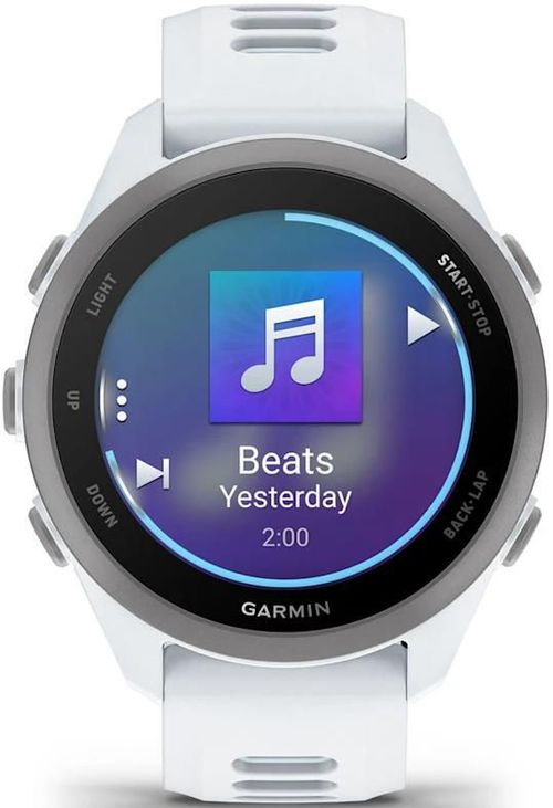 cumpără Ceas inteligent Garmin Forerunner 170 Music, GPS, WiFi, Whitestone/Cloud Blue, WW (010-03920-11) în Chișinău 