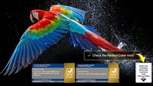 cumpără Televizor LG OLED55B56LA în Chișinău 