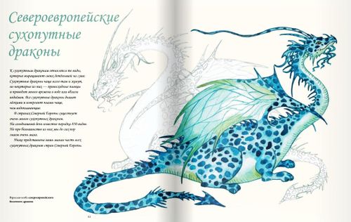 купить Северные драконы и искусство их обнаружения - Карин Линдерут в Кишинёве 