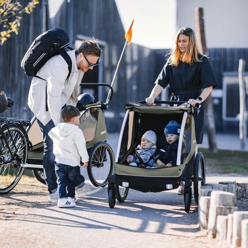 купить Аксессуар для велосипеда THULE Courier pentru transportul cainilor (20301001) в Кишинёве 