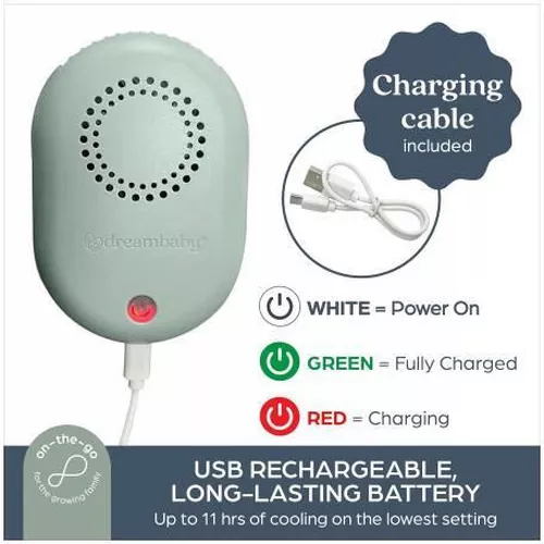 купить Вентилятор настольный Dreambaby L2399 Breez To Go USB Focus Flow в Кишинёве 