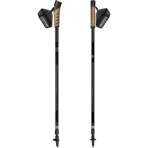 купить Треккинговые палки Spokey 944813 Peak в Кишинёве 