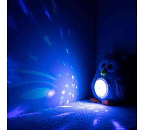 купить Мягкая игрушка Chipolino Owl PIL025020OWL (проектор муз) в Кишинёве 