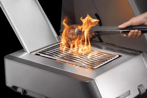 купить Мангал Napoleon Prestige Evo P665, gratar gaz (P665VXRSIBPSS) в Кишинёве 