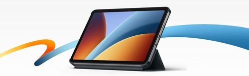 купить Сумка/чехол для планшета Xiaomi Redmi Pad 2 9.7 Cover Gray в Кишинёве 