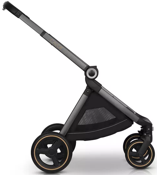 купить Детская коляска Cavoe Osis Gondola Bouquet в Кишинёве 