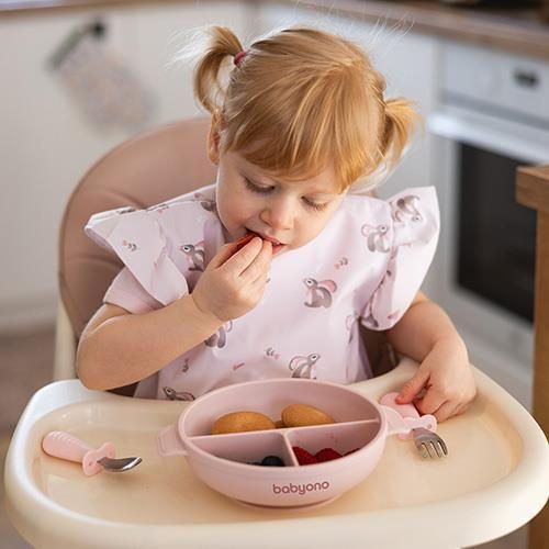 купить Посуда для кормления BabyOno 1661/02 Placa de silicon cu ventuza si capac (roz) в Кишинёве 