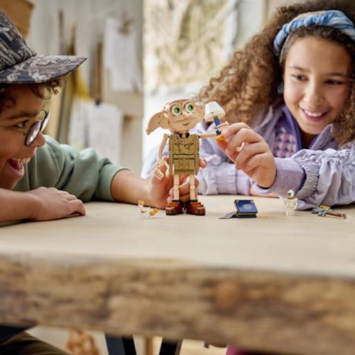 купить Конструктор Lego 76469 Harry Potter. Dobby Elful Liber в Кишинёве 