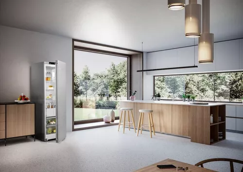 купить Холодильник однодверный Liebherr RDsfd 5220 в Кишинёве 