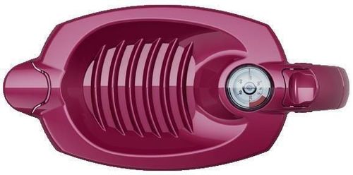 cumpără Cană filtrantă pentru apă Aquaphor 500780 Prestige (+1 A5) (cireș) în Chișinău 