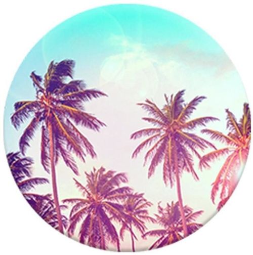 cumpără Accesoriu pentru aparat mobil PopSockets PALM TREES original 101230 în Chișinău 