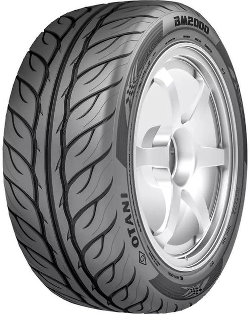купить Шина Otani 225/45 R17 91W BM2000 в Кишинёве 