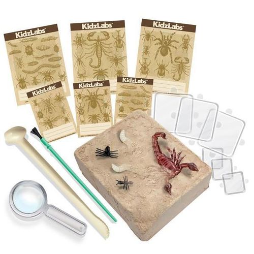cumpără Set de creație 4M 00-03397 Creepy Crawly Digging Kit în Chișinău 