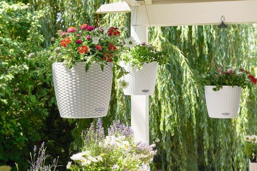 купить Цветочный горшок Lechuza Nido Cottage 35 All In One White в Кишинёве 