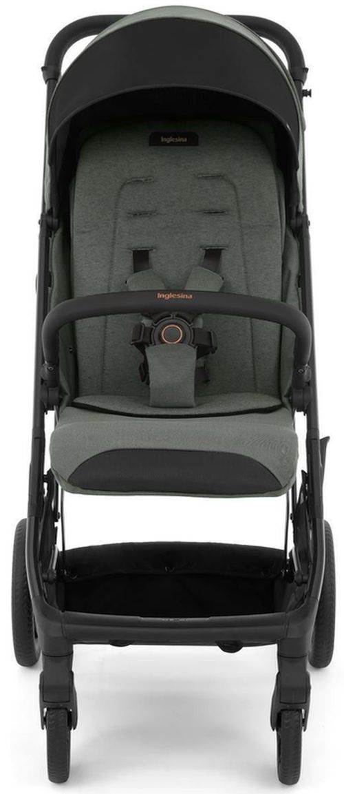 купить Детская коляска Inglesina MAIOR Taiga Green в Кишинёве 