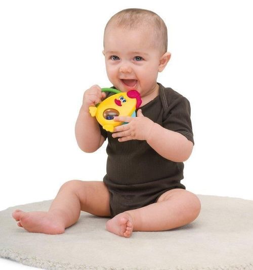 купить Погремушка Chicco 70068.00 Polly в Кишинёве 