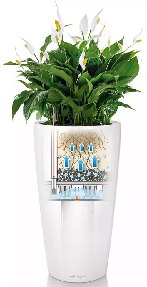 купить Цветочный горшок Lechuza Rondo Premium 40, Charcoal в Кишинёве 