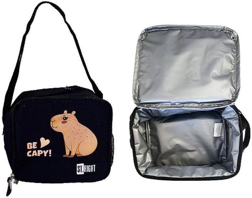 cumpără Geantă frigorifică St.RIGHT 57764 Lunch Box 5.5L, Be Capy, 41x30x44cm în Chișinău 