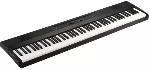 купить Цифровое пианино Korg L1 BK (Black) в Кишинёве 