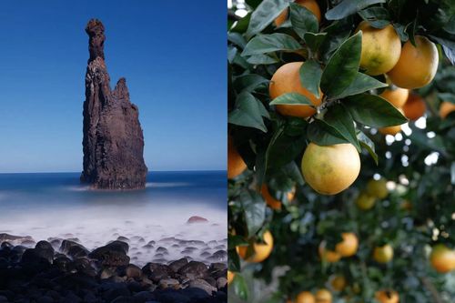 купить Фотоаппарат беззеркальный FujiFilm GFX100RF silver в Кишинёве 