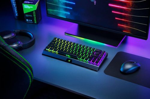 купить Клавиатура Razer RZ03-03891400-R3M1 Mechanical BlackWidow V3 Mini (Green Switch) US Layout в Кишинёве 