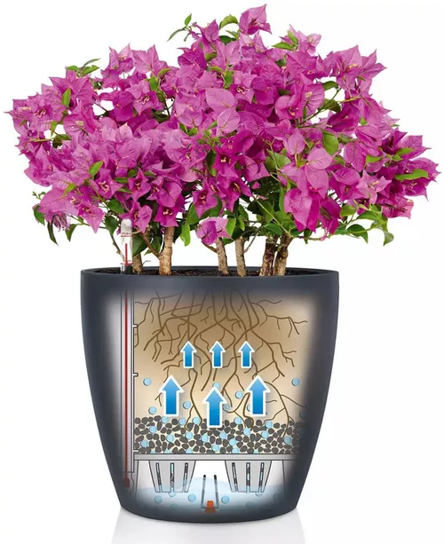 купить Цветочный горшок Lechuza Classico Color 70, Slate в Кишинёве 