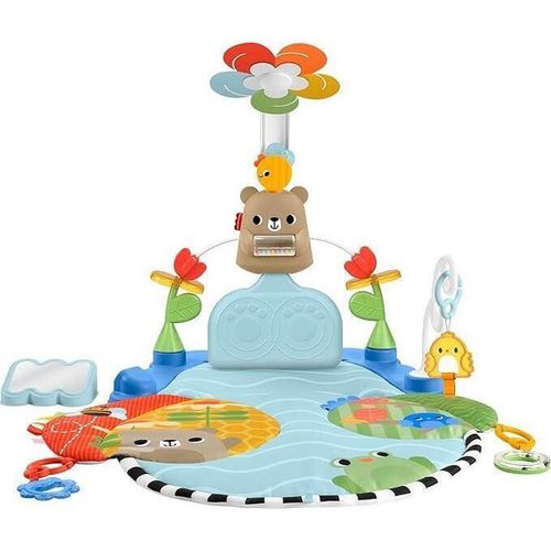 cumpără Covoraș de joacă Fisher Price HYR60 Armonia dezvoltării active în Chișinău 