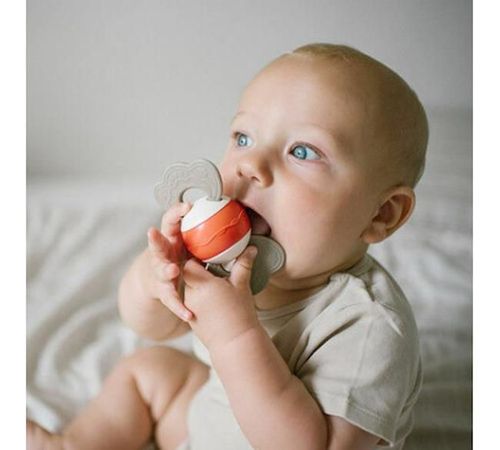 купить Погремушка BabyOno 8692 Погремушка-прорезыватель 1637 в Кишинёве 