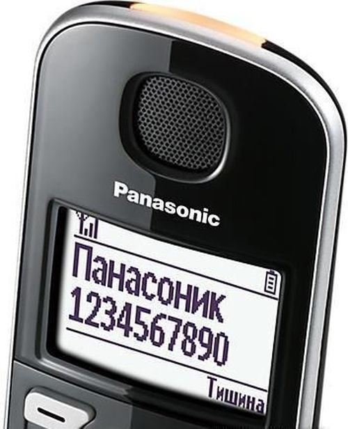 купить Телефон беспроводной Panasonic KX-TGE510RUS в Кишинёве 