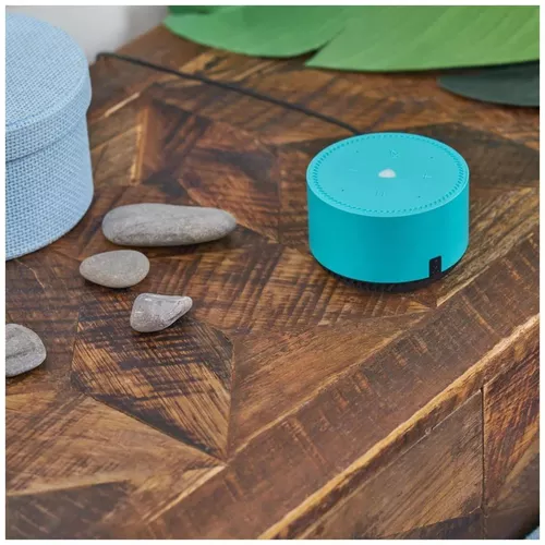 cumpără Boxă portativă Bluetooth Yandex YNDX-00025G Alisa Station Lite Green în Chișinău 