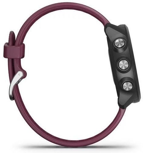 cumpără Ceas inteligent Garmin Forerunner 245 Merlot în Chișinău 