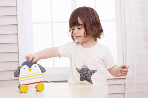 купить Игрушка Classic World 5020 пингвин-каталка в Кишинёве 