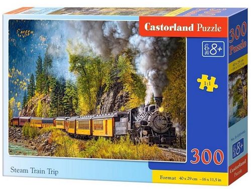 купить Головоломка Castorland Puzzle B-030446 Puzzle 300 elemente в Кишинёве 